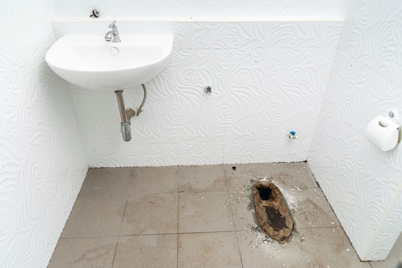Toilet Snaking detail